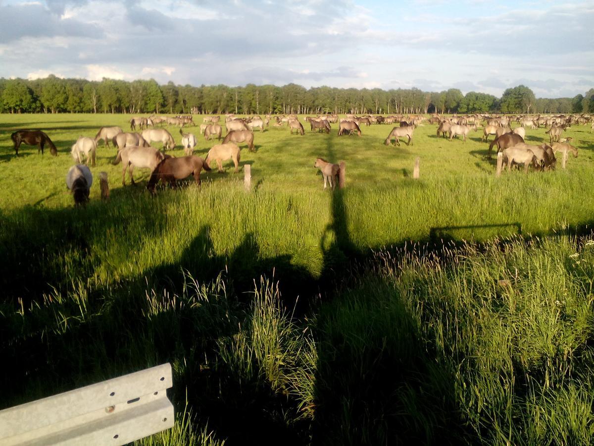 Hotel Restaurant Lutkebohmert Reken Buitenkant foto