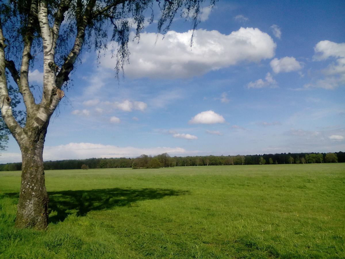 Hotel Restaurant Lutkebohmert Reken Buitenkant foto